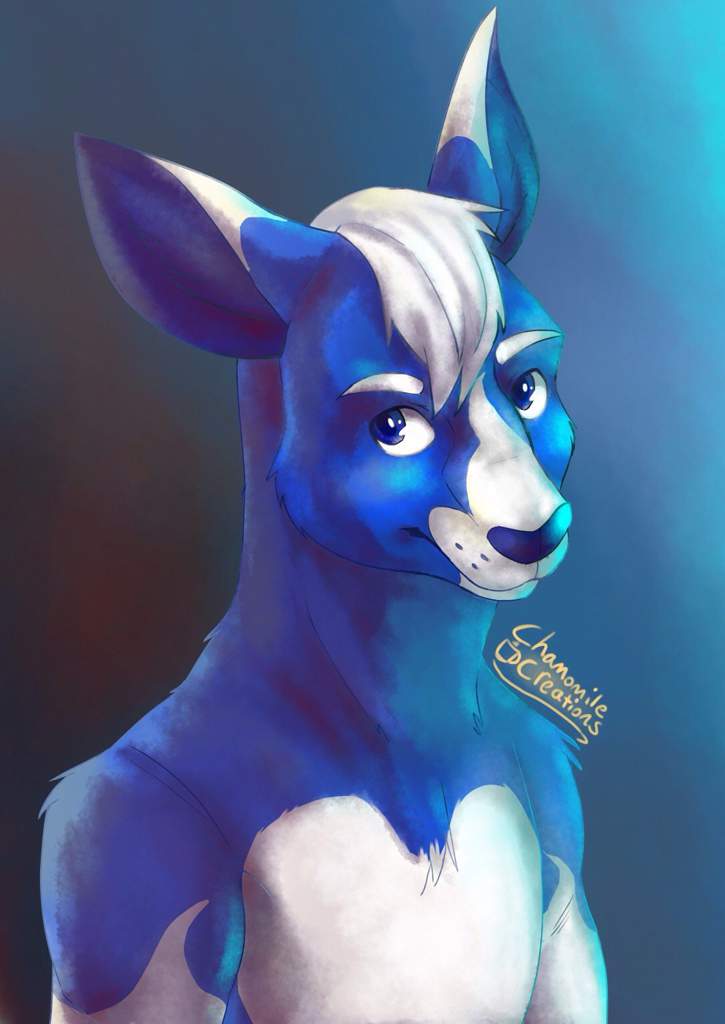 Pocari Roo Fanart | Furry Amino