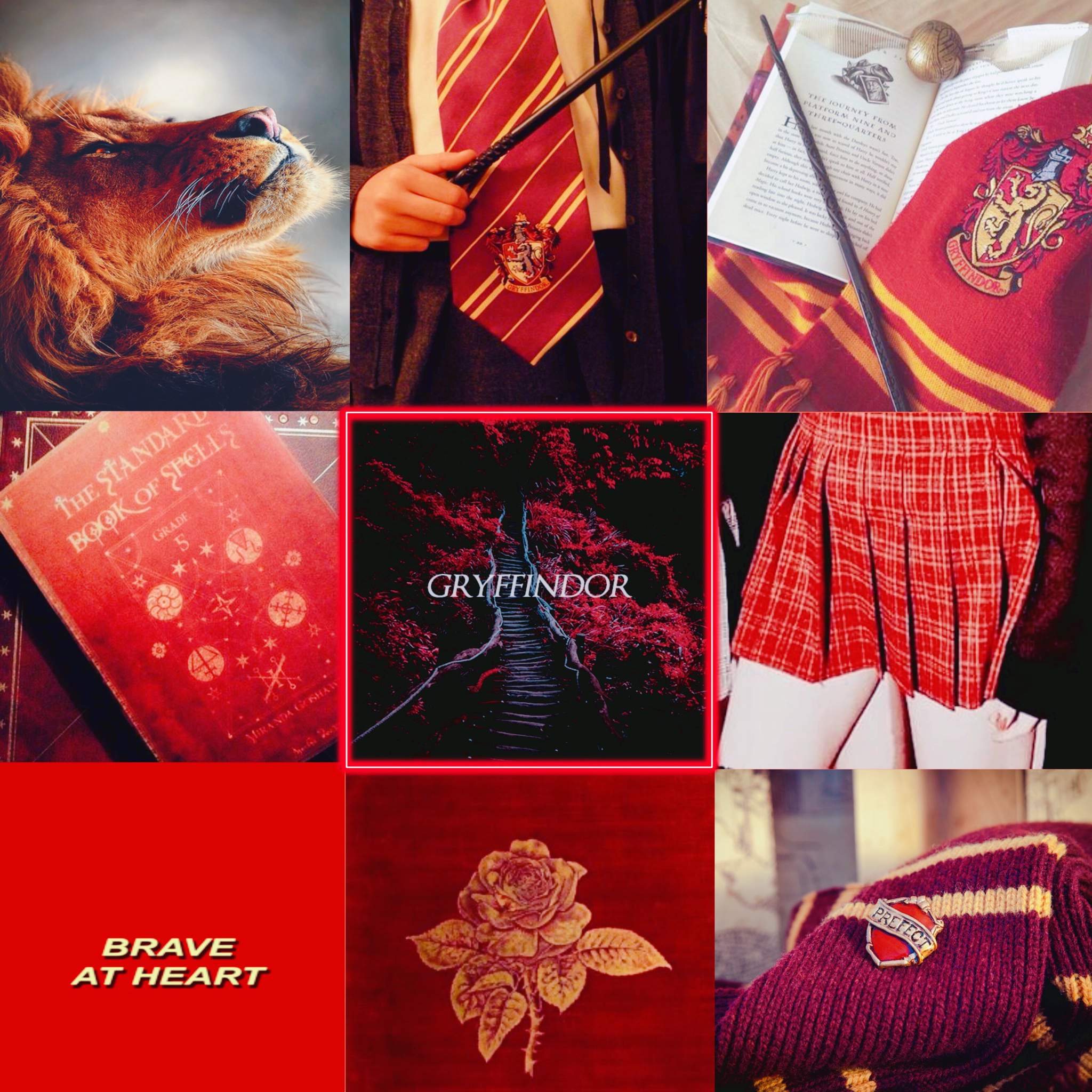 My Gryffindor aesthetic ️ | Harry Potter Amino