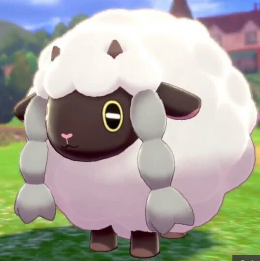 wooloo teddy