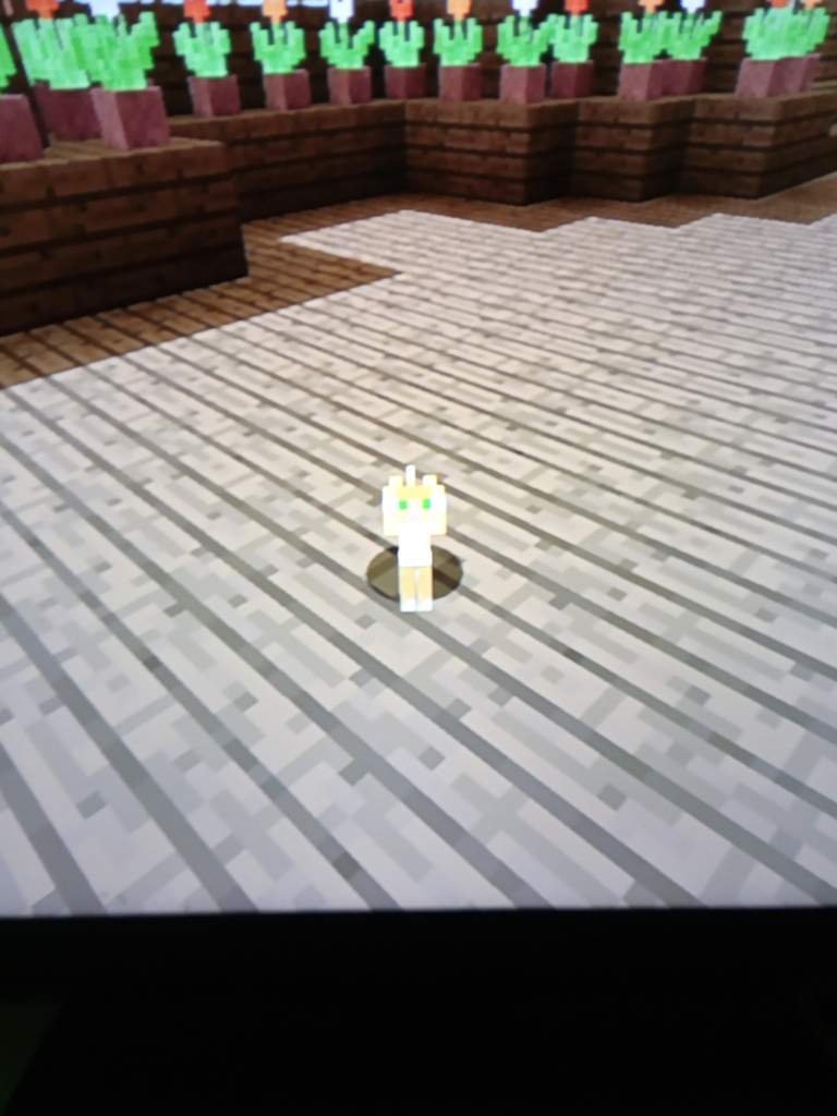 I Need Cat Names Minecraft Amino I Need Cat Names Minecraft Amino