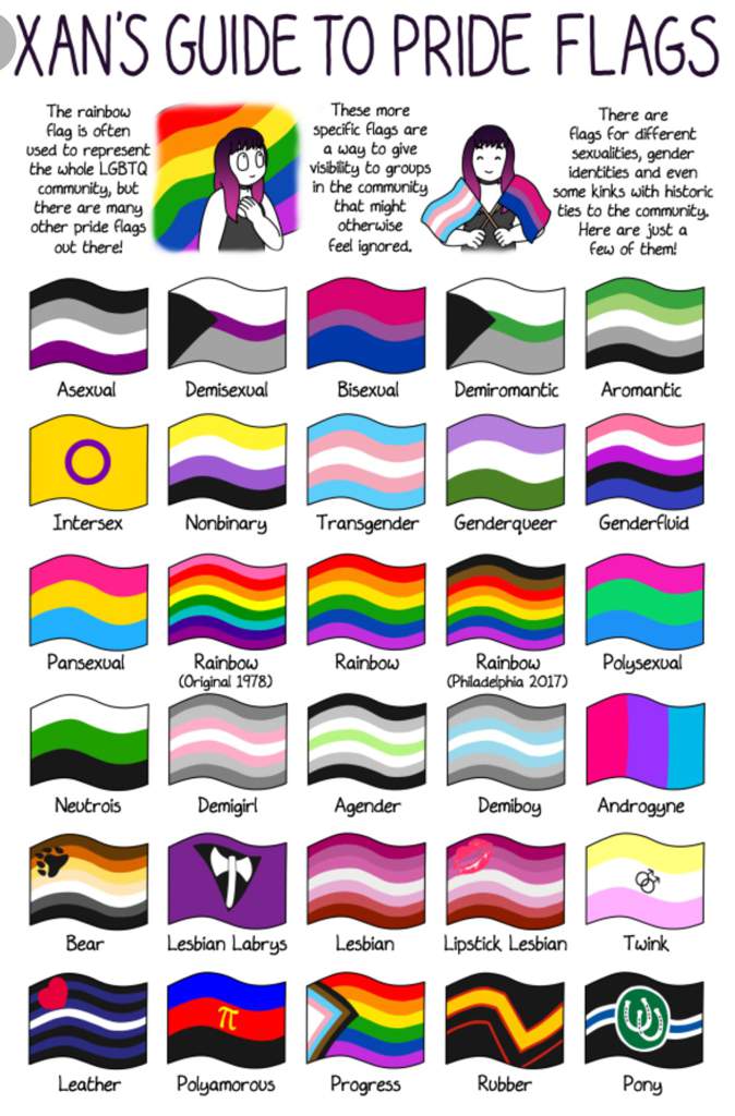 Cookie Pride Flag: Demiromantic | LGBT+ Amino