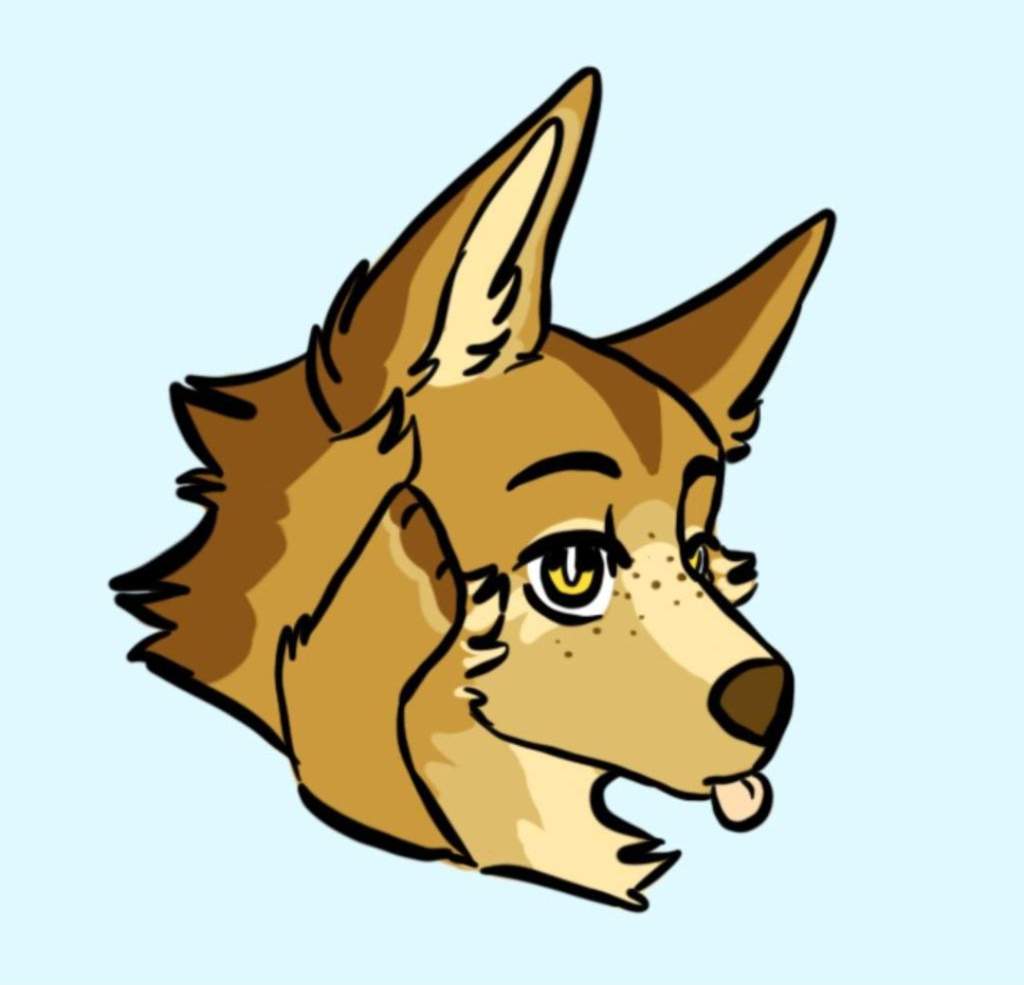 Jorid | Wiki | Wolf & Canine Amino Amino