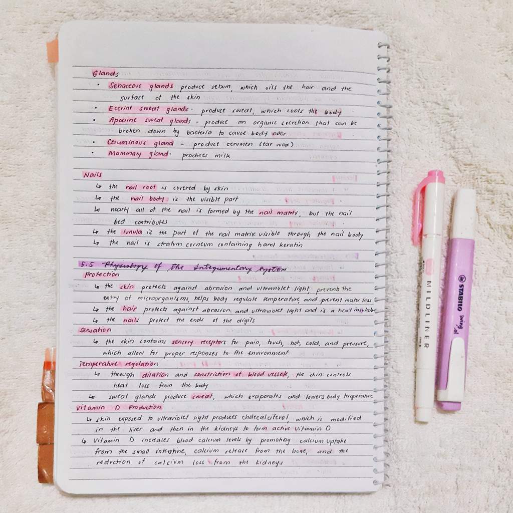 AnaPhy Notes| Chapter 5 | Studying Amino Amino