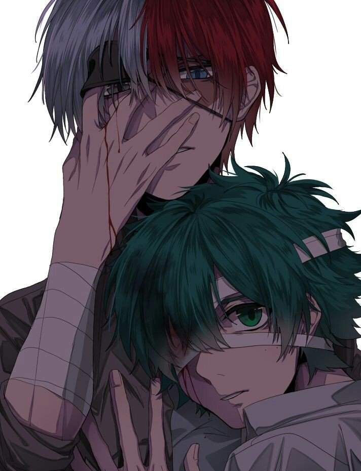 Tododeku AMINO ️×💚 Amino