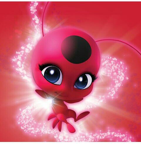 Miraculers 🐞// kwamis 💭// | •Miraculous Ladybug Español• Amino