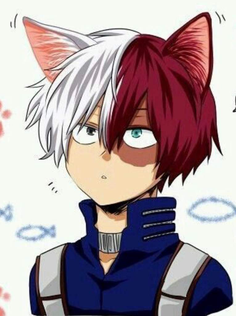 •🔥Shoto Todoroki ️•(Vampire) | My Hero Academia Amino