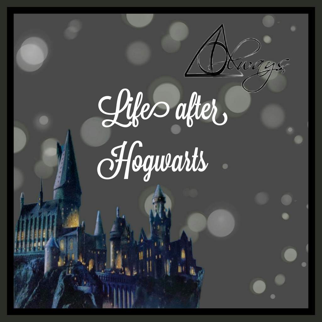 Life After Hogwarts | Harry Potter Amino