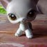 amino-Lps Mysterykitten-00860caa