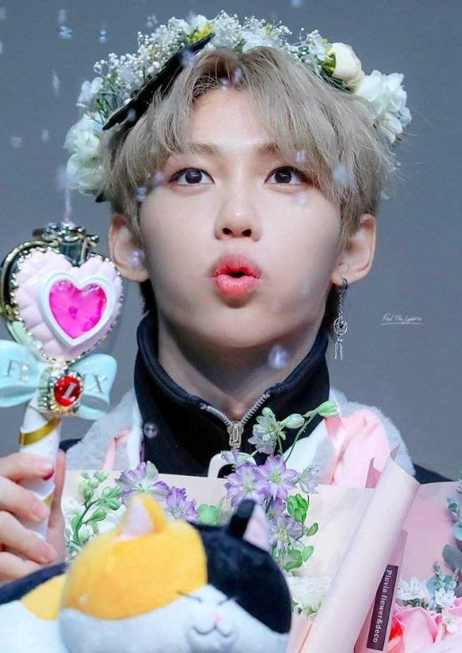 Day 12😍 felix in fan meetings ♥️♥️credit to the owners 😘 | Stray Kids Amino