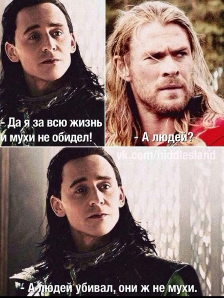 Приколы про тора картинки