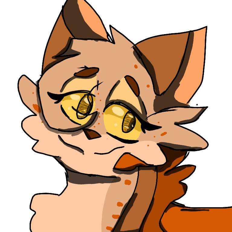 Brookshine | Wiki | •~•Warrior Cats•~• Amino