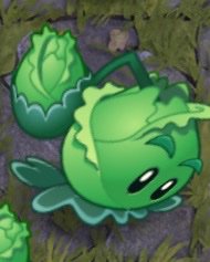 pvz cabbage pult plush