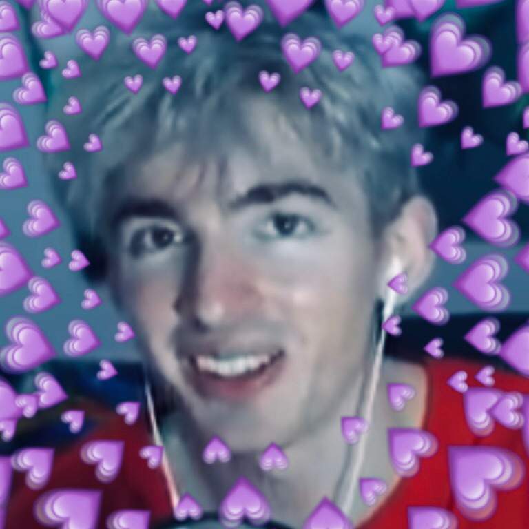 flamingo albert flamingo albert