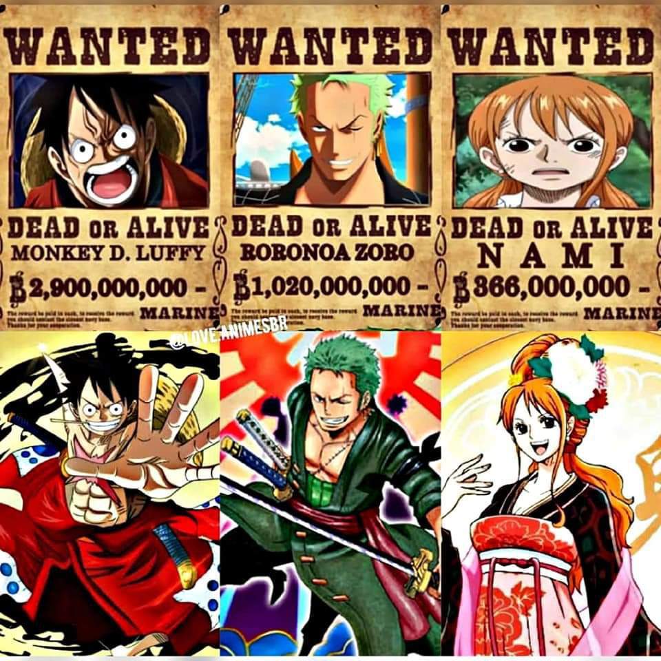 Despues del wano | •One Piece• Amino