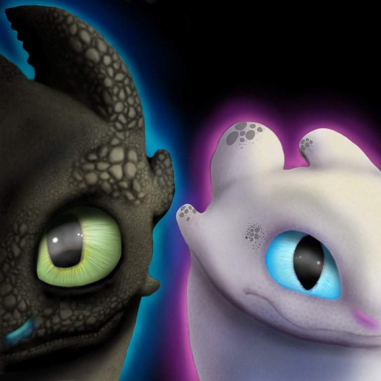 Toothless and Light Fury | H.T.T.Y.D Amino