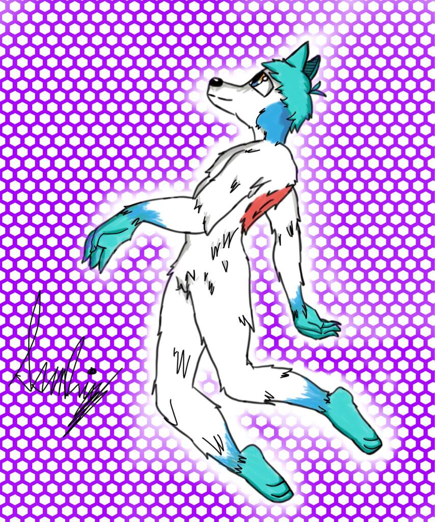 Primer Dibujo Furry Español Amino