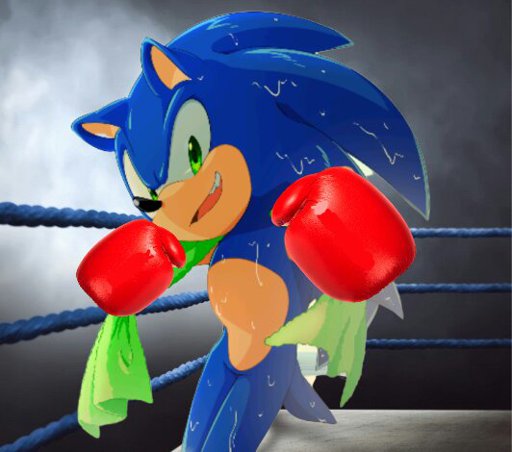 Sonic Boxing
