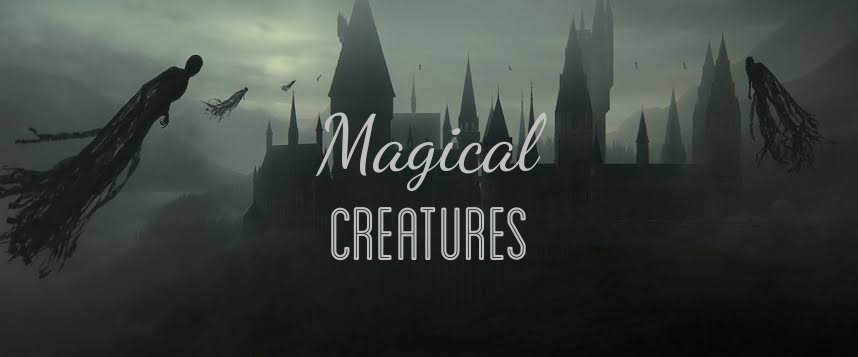 harry potter magical creatures and characters
