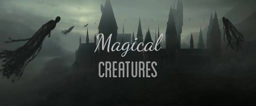 harry potter magical creatures for sale