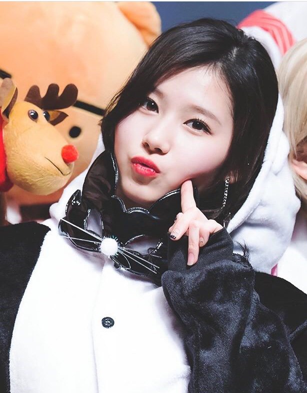 Sana es la niña más linda y más tierna del planeta 🥰 ️ | •Twice Amino ...