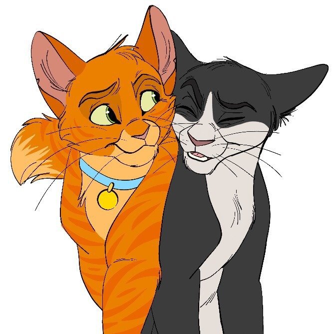 tail-long-enough-for-ya-by-graystripe64-on-deviantart