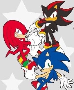 Results: Shadow VS. Knuckles | Fighting Freaks | Sonic The Hedgehog! Amino