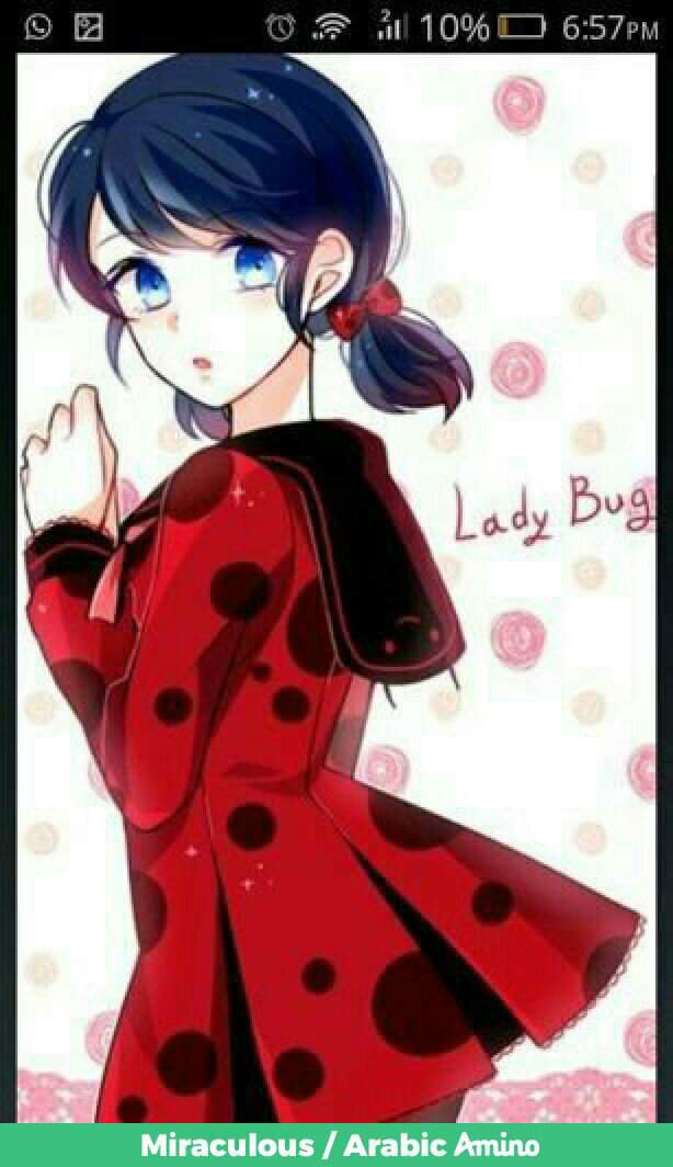 Ladybug 🐞 | Wiki | Miraculous / Arabic Amino