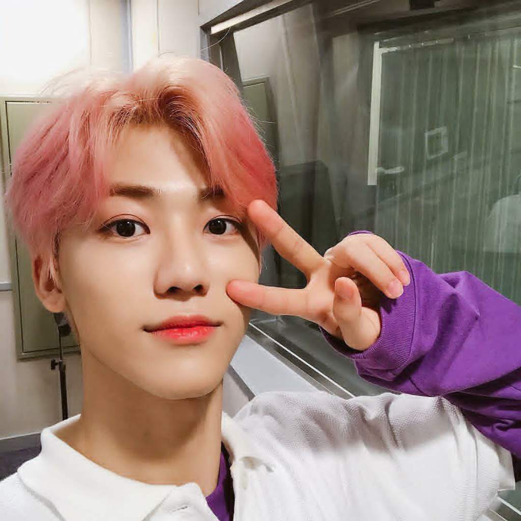 Jaemin Wiki •kpop• Amino