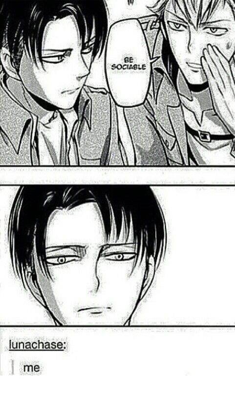 Levi memes cause why the heck not | Attack On Titan Amino