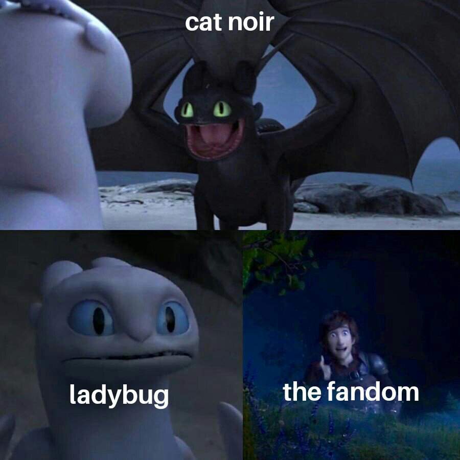 Cat Noir Memes 6 Miraculous Amino