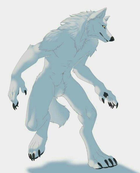 white wolf forms white wolf forms