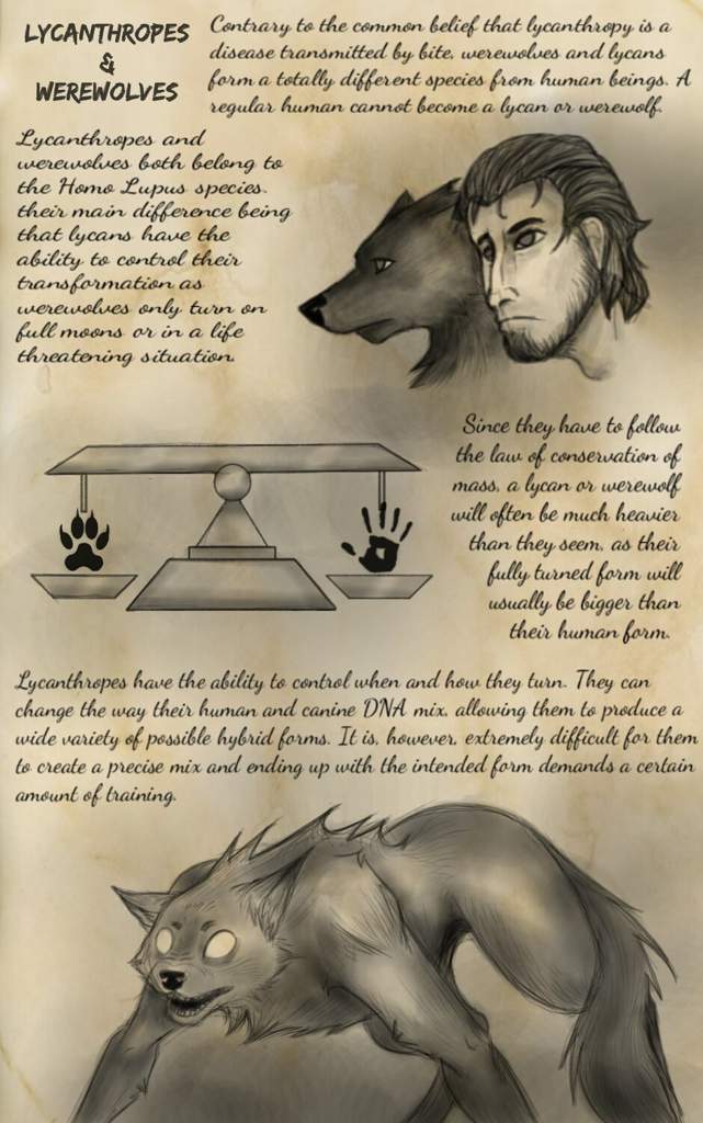 Difference Between Lycanthrope And Werewolf