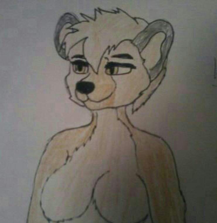 Kalahari Jira | Wiki | Furry Amino