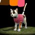 amino-Marshmeloy Cat-6089610e