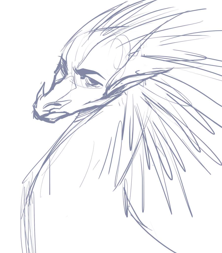 Sketch | Wings Of Fire Amino