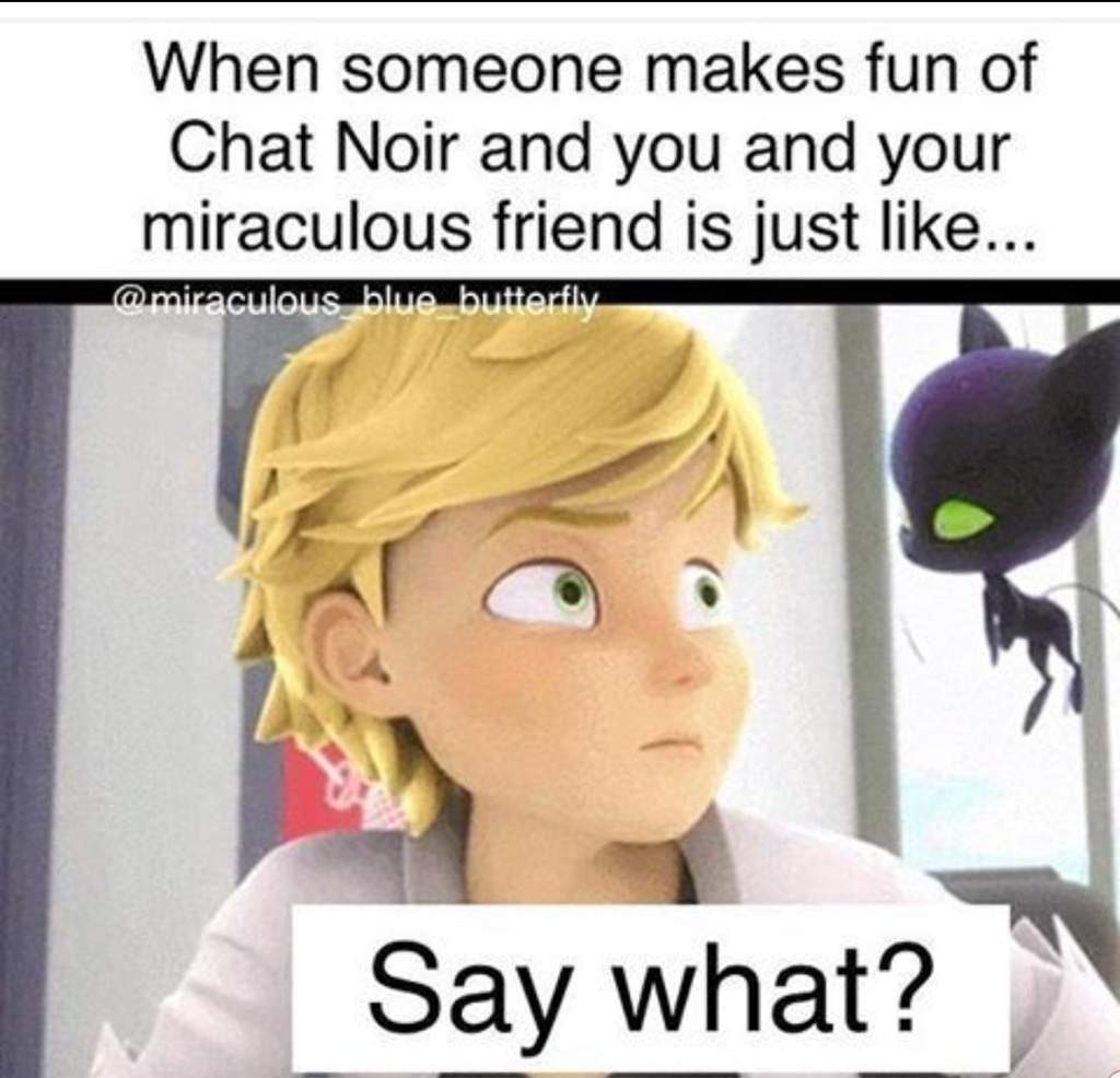 Miraculous Memes That Make Me Wheeze 1 | Miraculous Amino