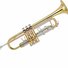 amino-That one euph player-a9a81a19