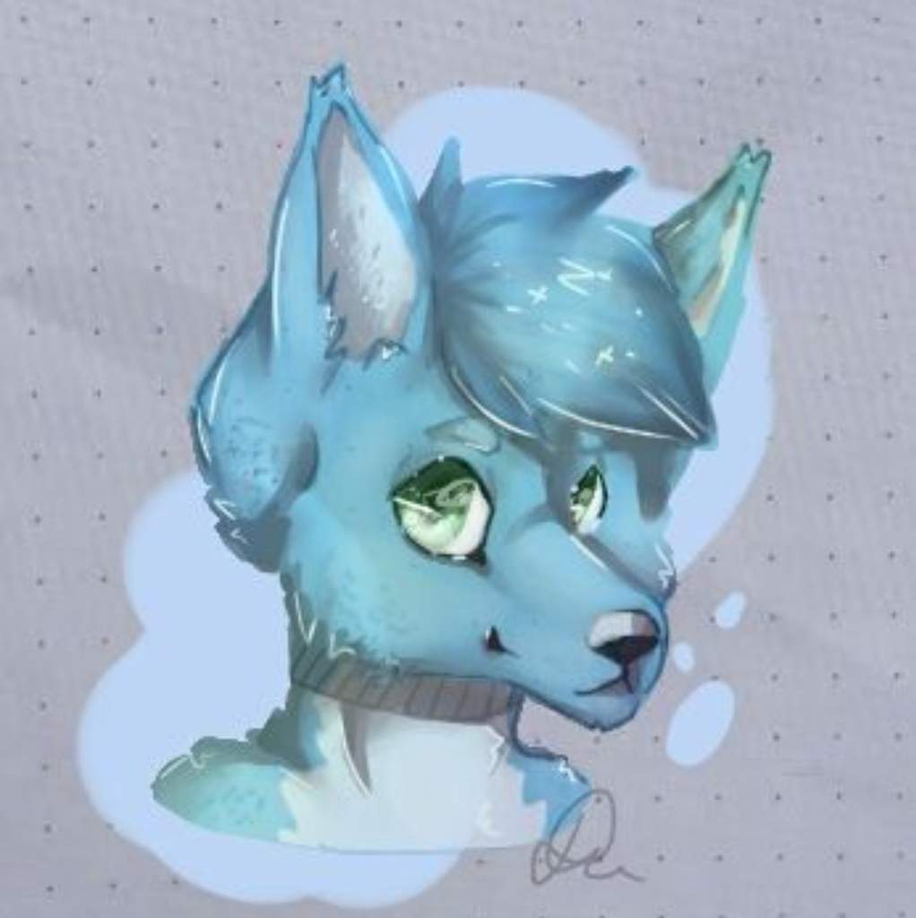 Max | Wiki | - Polskie Furry Amino - Amino