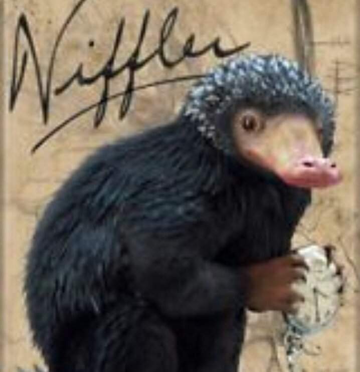 niffler teddy bear