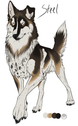 Gray Wolfs Chainmaille Creations  Dibujos bonitos de animales Arte de  lobos Fotos de lobo