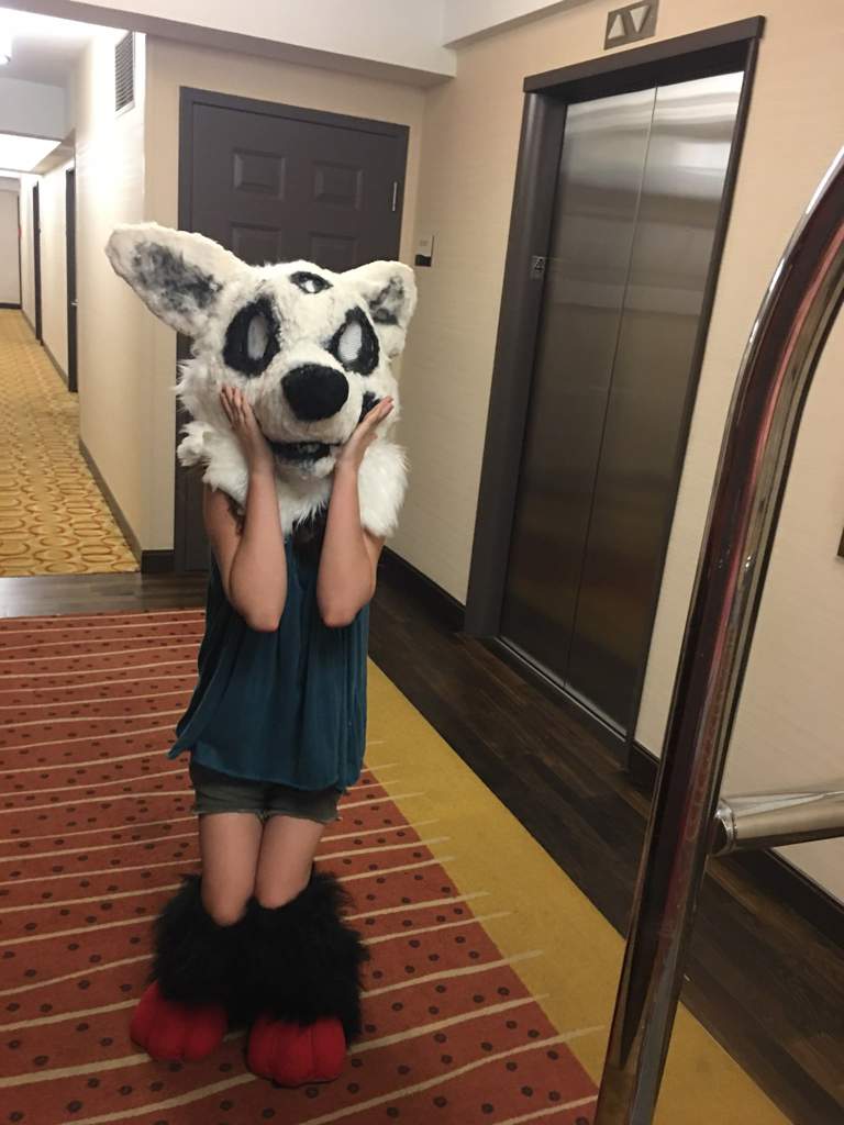 How to find me at Anthrocon Fursuit Maker Amino Amino