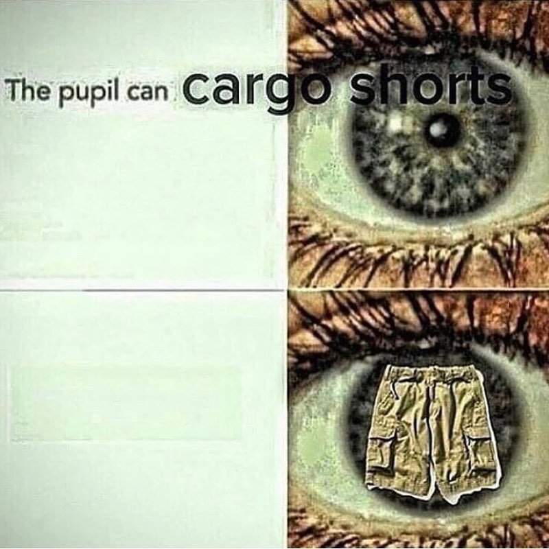 A "jiffy" is an actual unit of time 1/100th of a second. Dank Memes