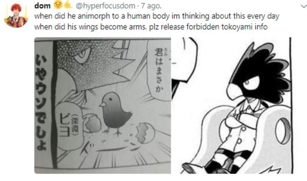 Who Are Tokoyami’s Parents? | My Hero Academia Amino