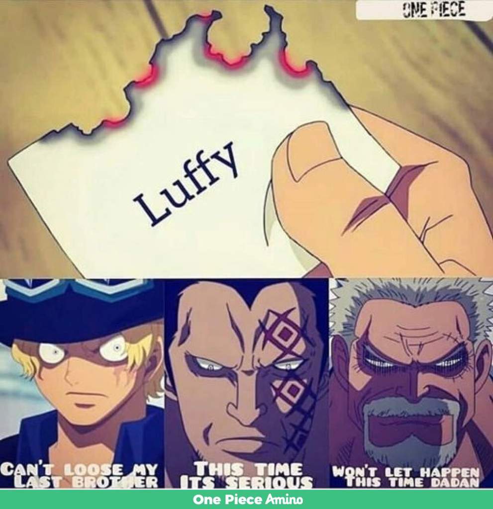 Was The Vivre Card In Dressrosa Ment To Find Luffy Or Sabo Read Description One Piece Amino