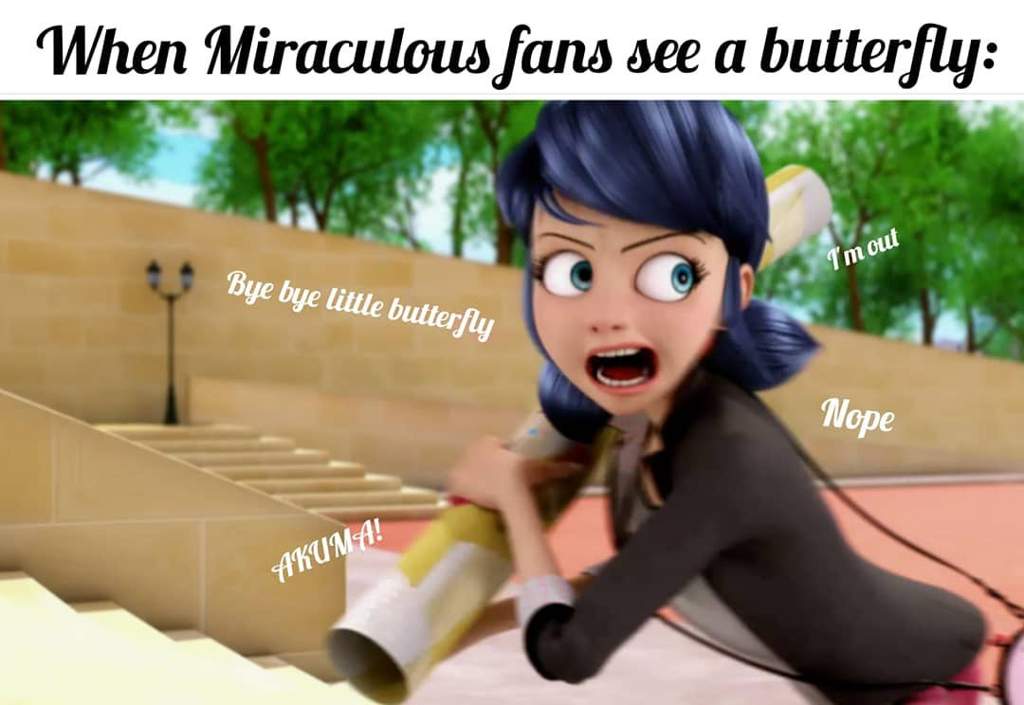 Da Memes Are Back Miraculous Amino