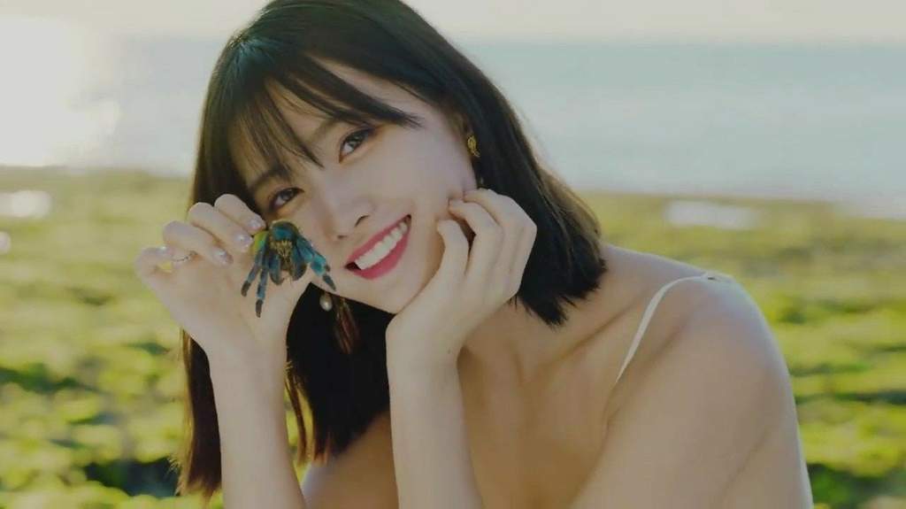 Dance The Night Away Era Momo Twice 트와이스 ㅤ Amino