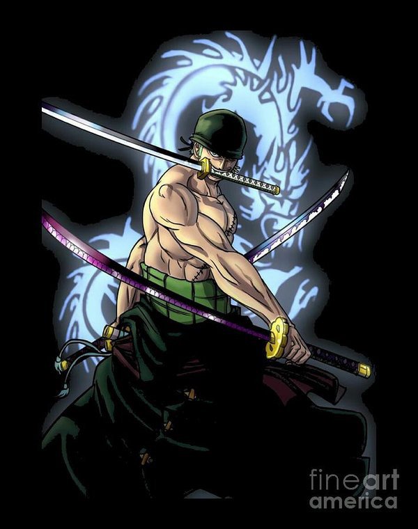 Zoro vs King | One Piece Amino