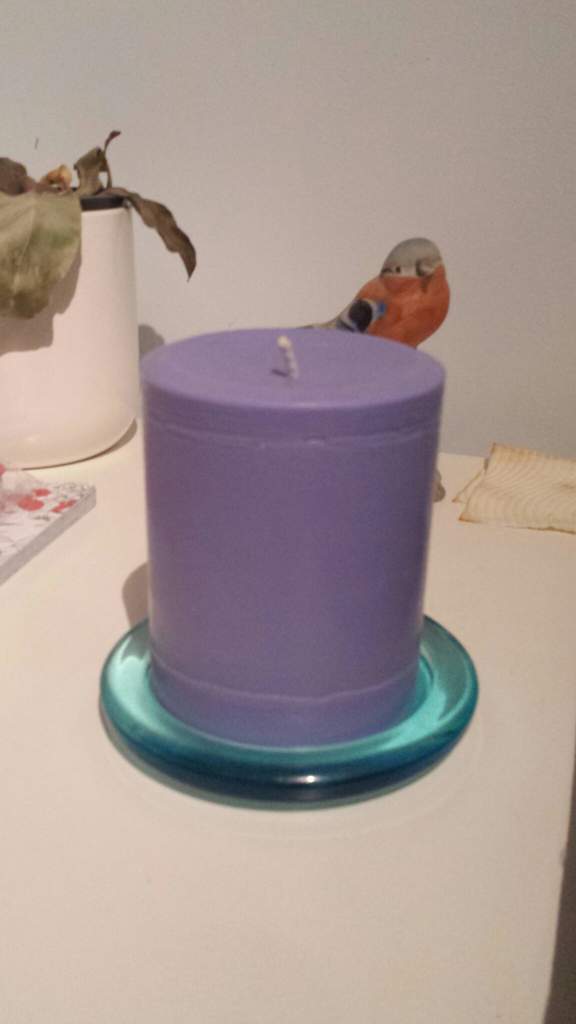 Birdsafe Candles! [DIY] 🕯️ Birds Amino Amino