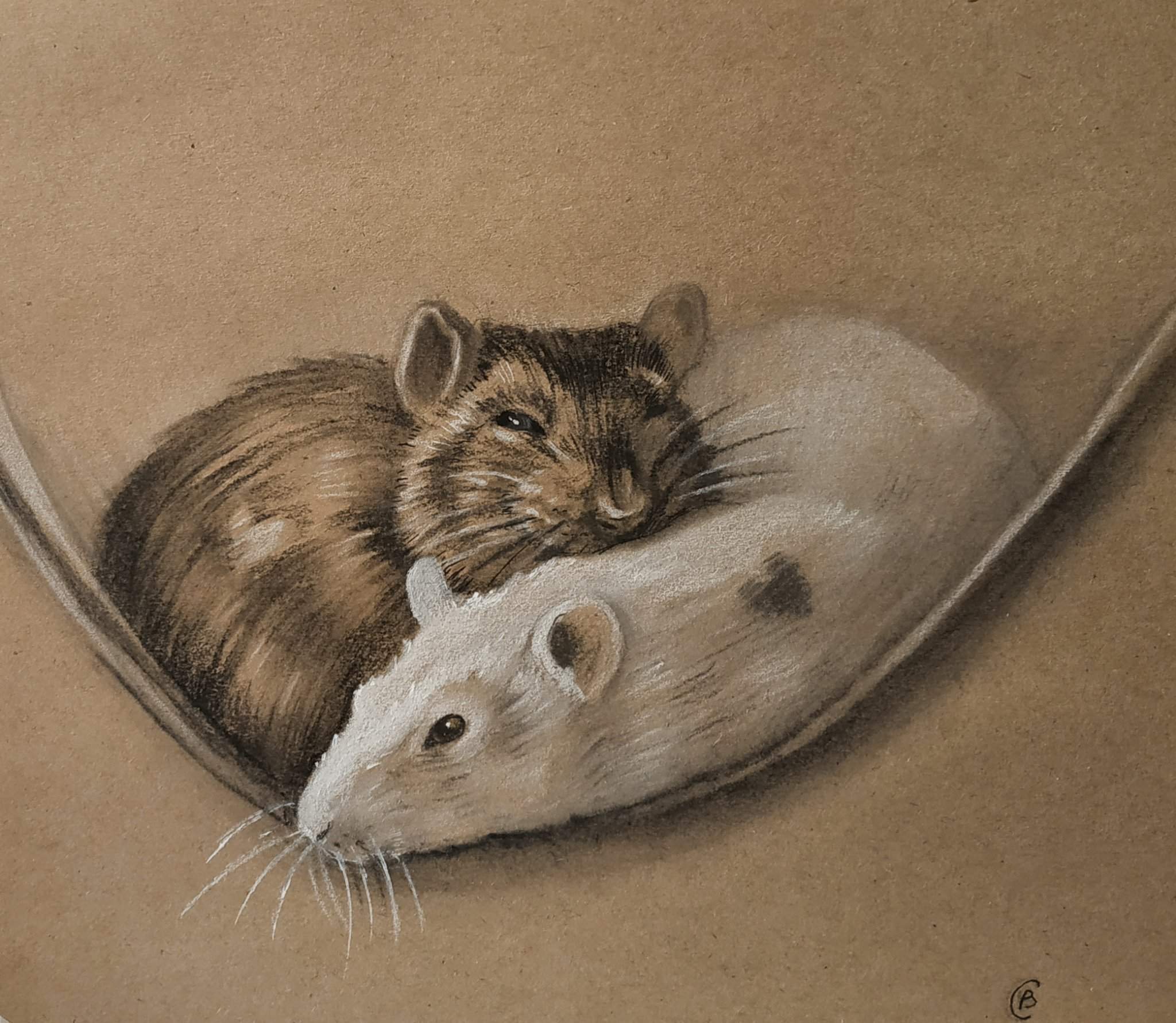 Art крысы в джакузи