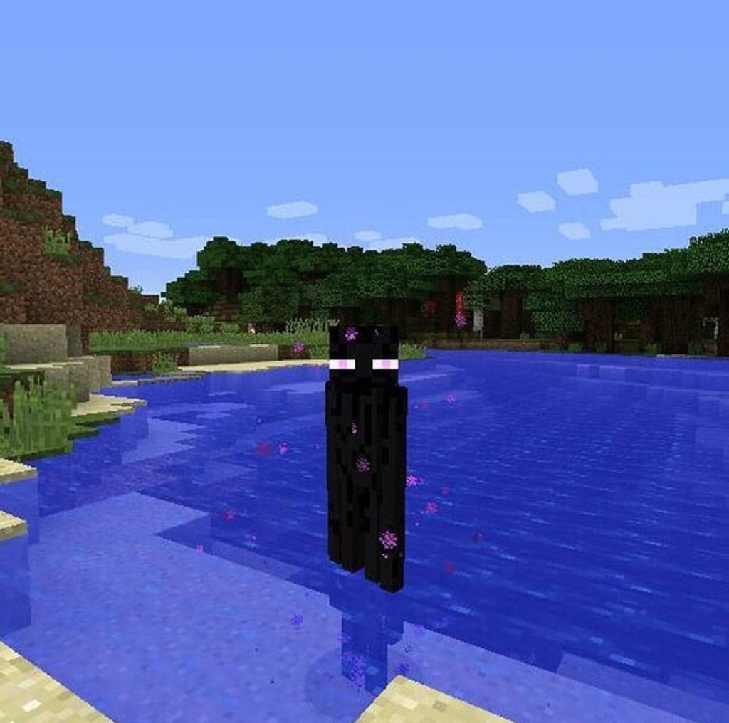 Cursed Minecraft Bee Images